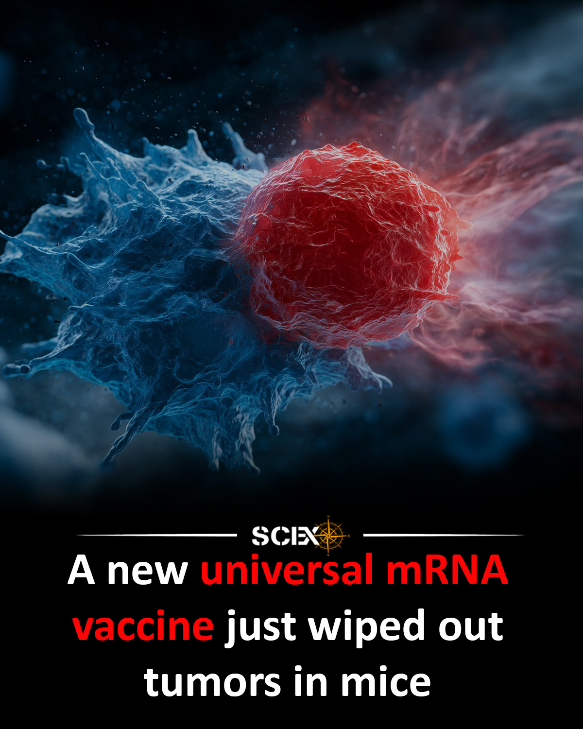 Science - 🚨 A Universal mRNA Cancer Vaccine Is On the Horizon ...