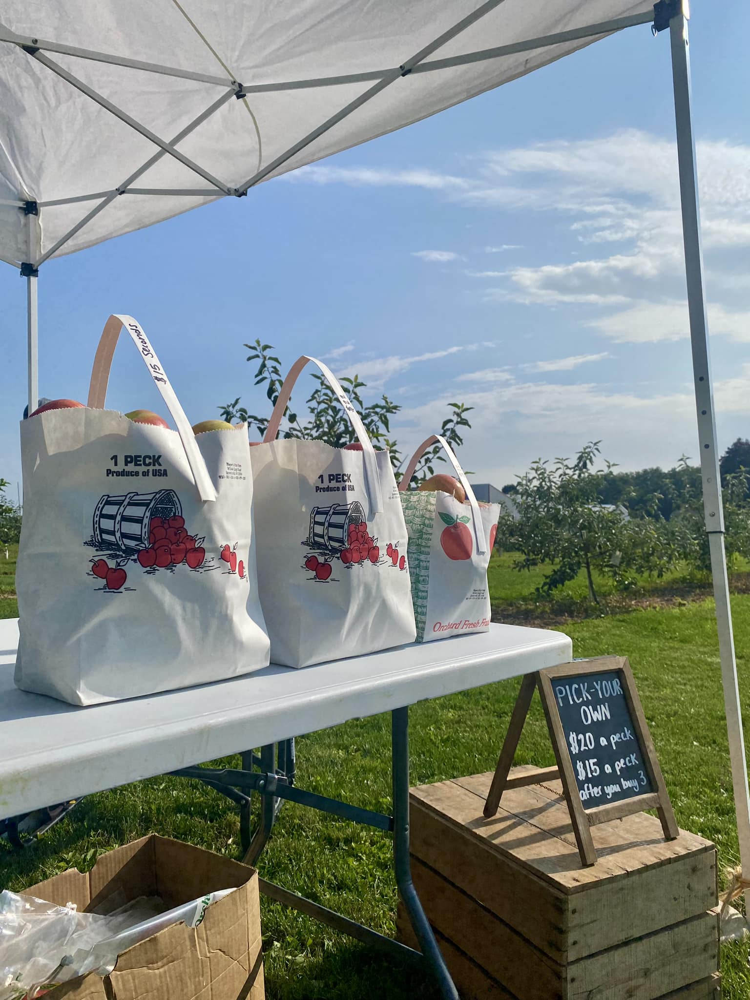 Pieper's - We are open!!🍎🍐🌳 Come and get your Honeycrisp, McIntosh ...
