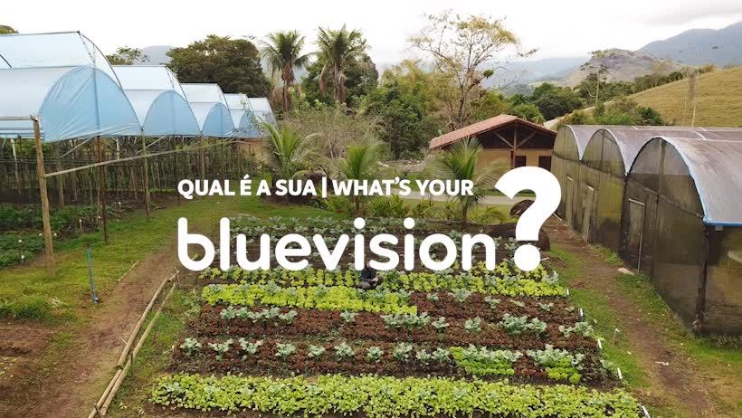 Bluevision