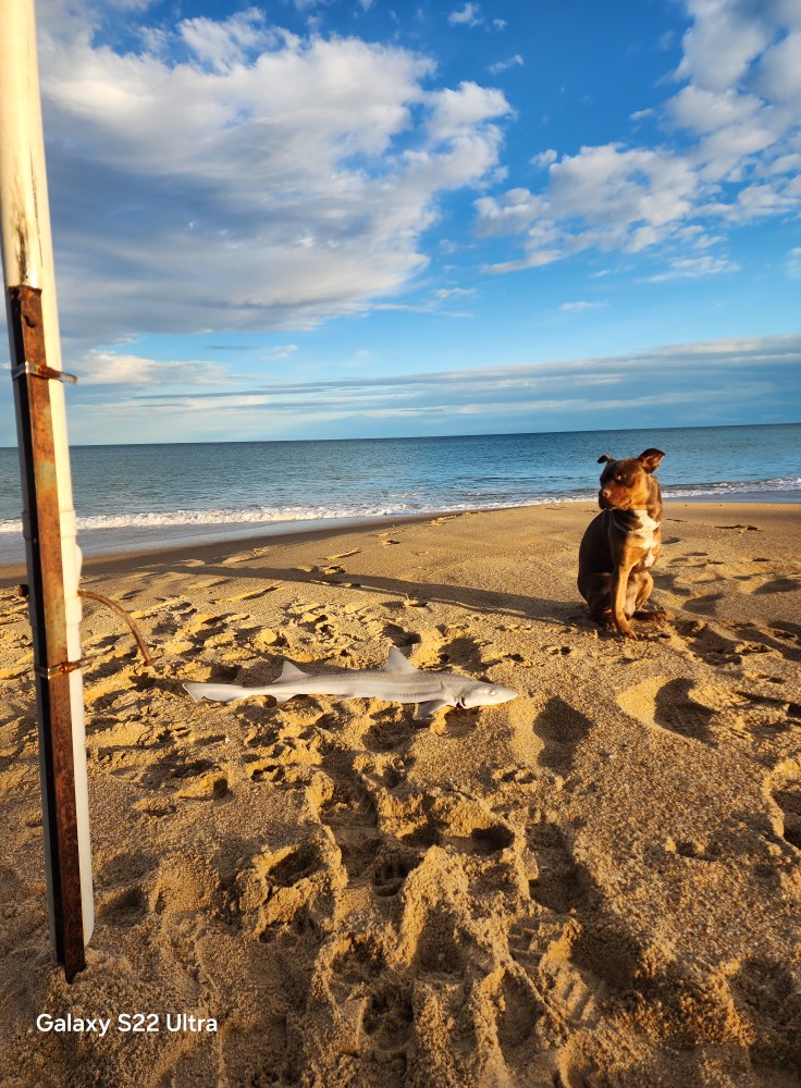 vango tents Venture Tunnel Tent, River Blue, 250 [Amazon Exclusive] : Sports & Outdoors Neues Chalet an der Category:Rennräder_Vittoria Zaffiro Pro Slick  700x25c Color:Silver/Purple/Purple