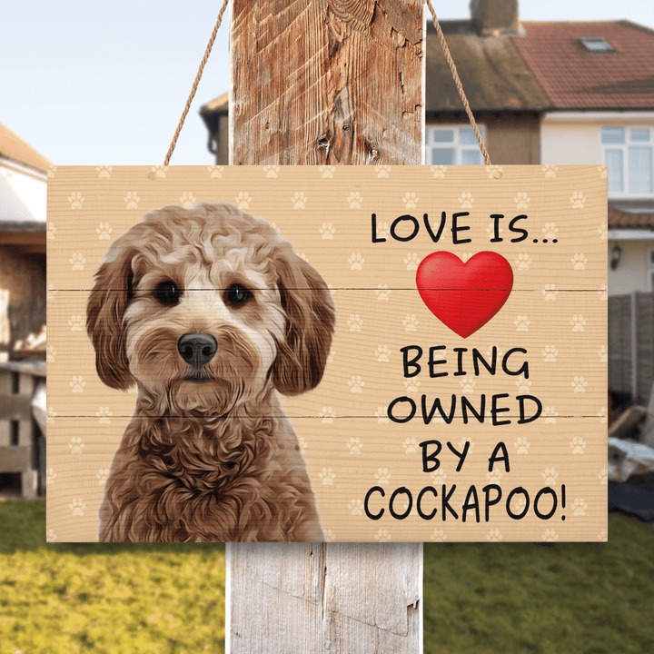 Cockapoo Owners Club | Love is being owned by a Cockapoo | Facebook