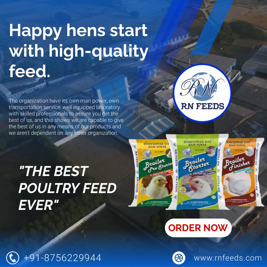 R.N. Feeds - Happy hens start with high-quality feed. For... | Facebook
