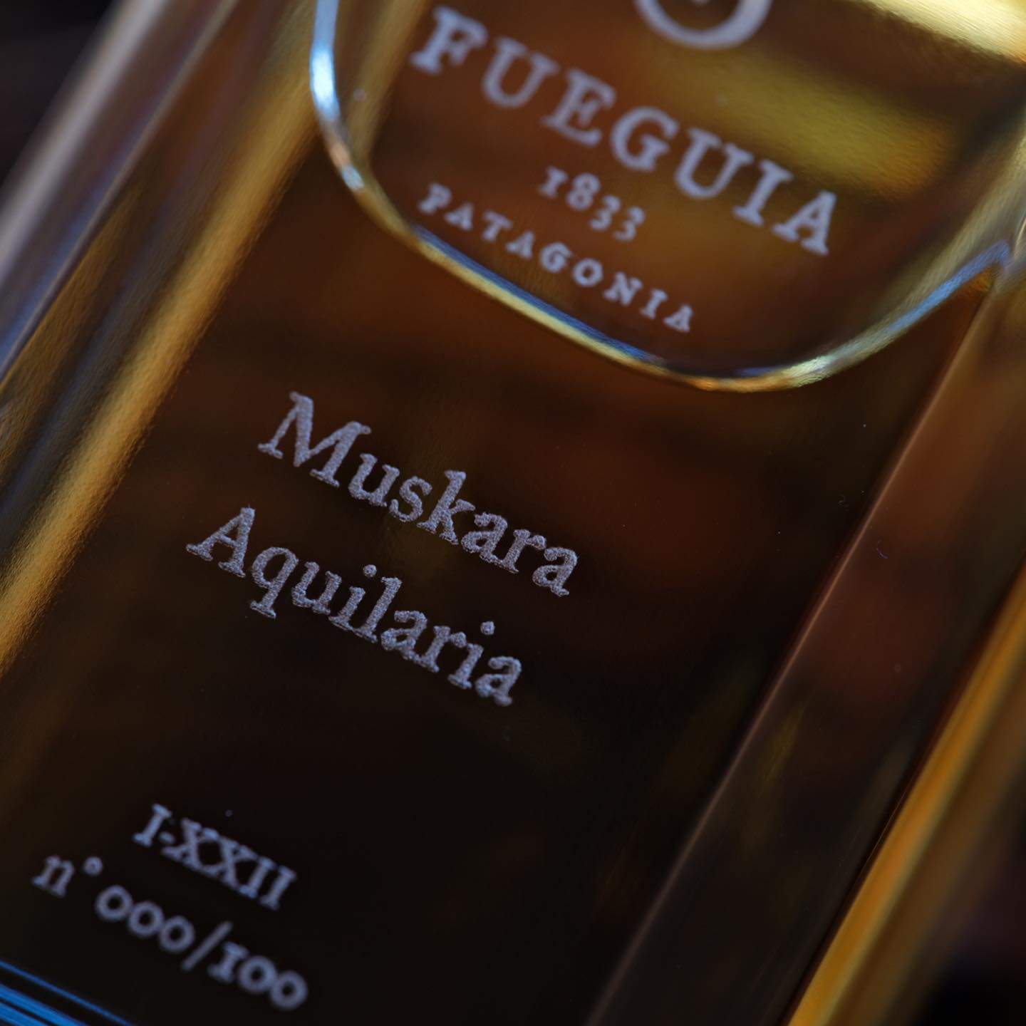Fueguia 1833 (@fueguia1833) • Facebook