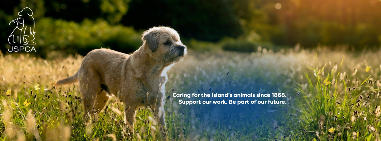 JSPCA Animals' Shelter added a... - JSPCA Animals' Shelter