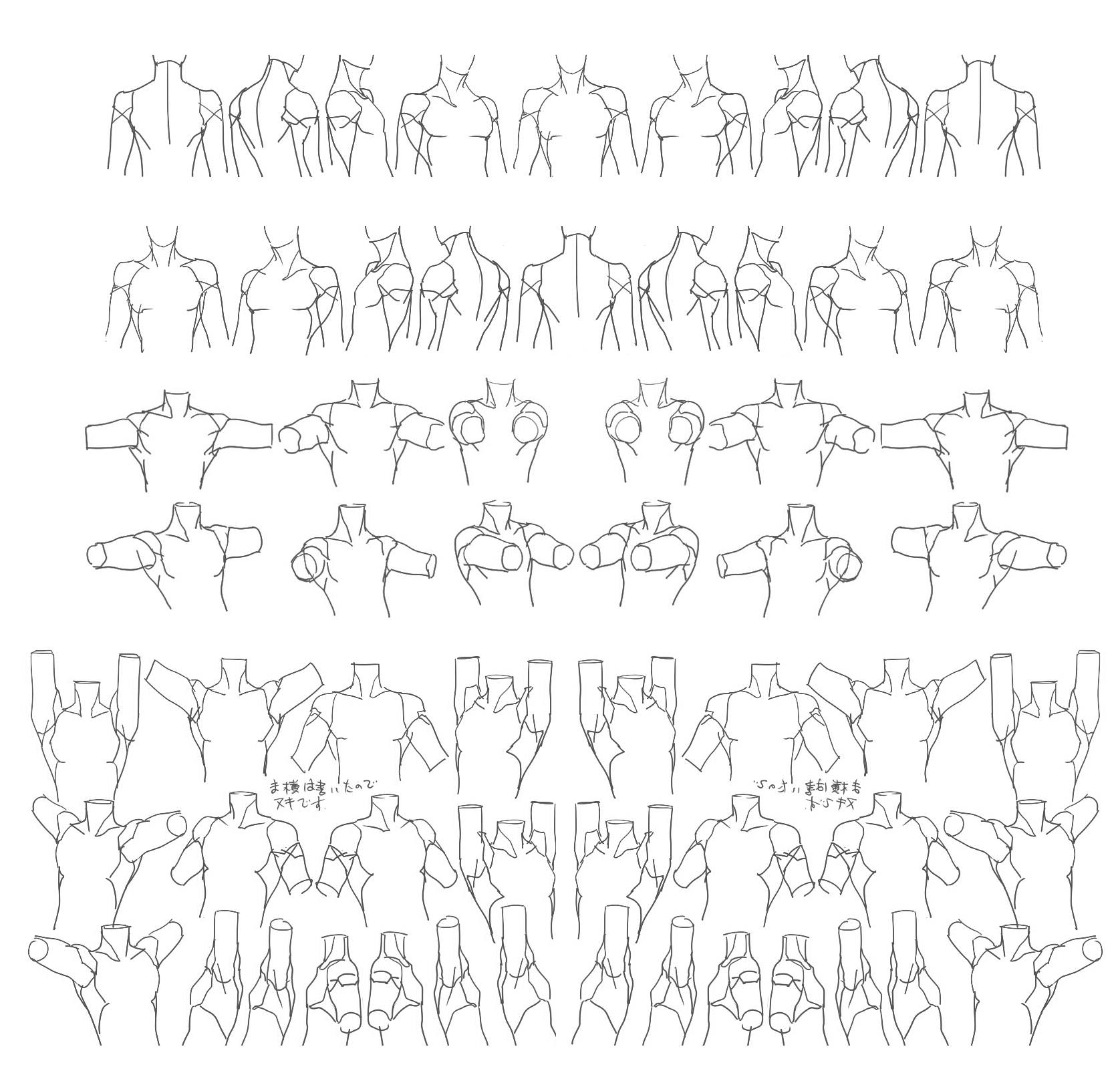 “Male Torso Rotation”... - Character Design References | Facebook
