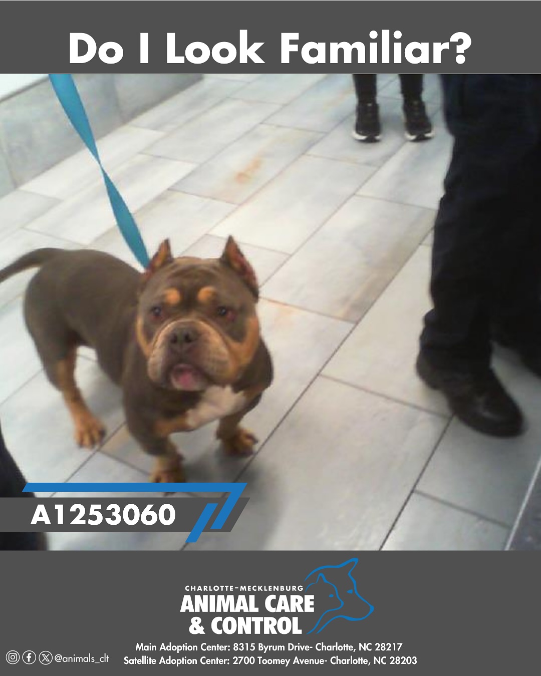 Animal Care & Control added a new... - Animal Care & Control