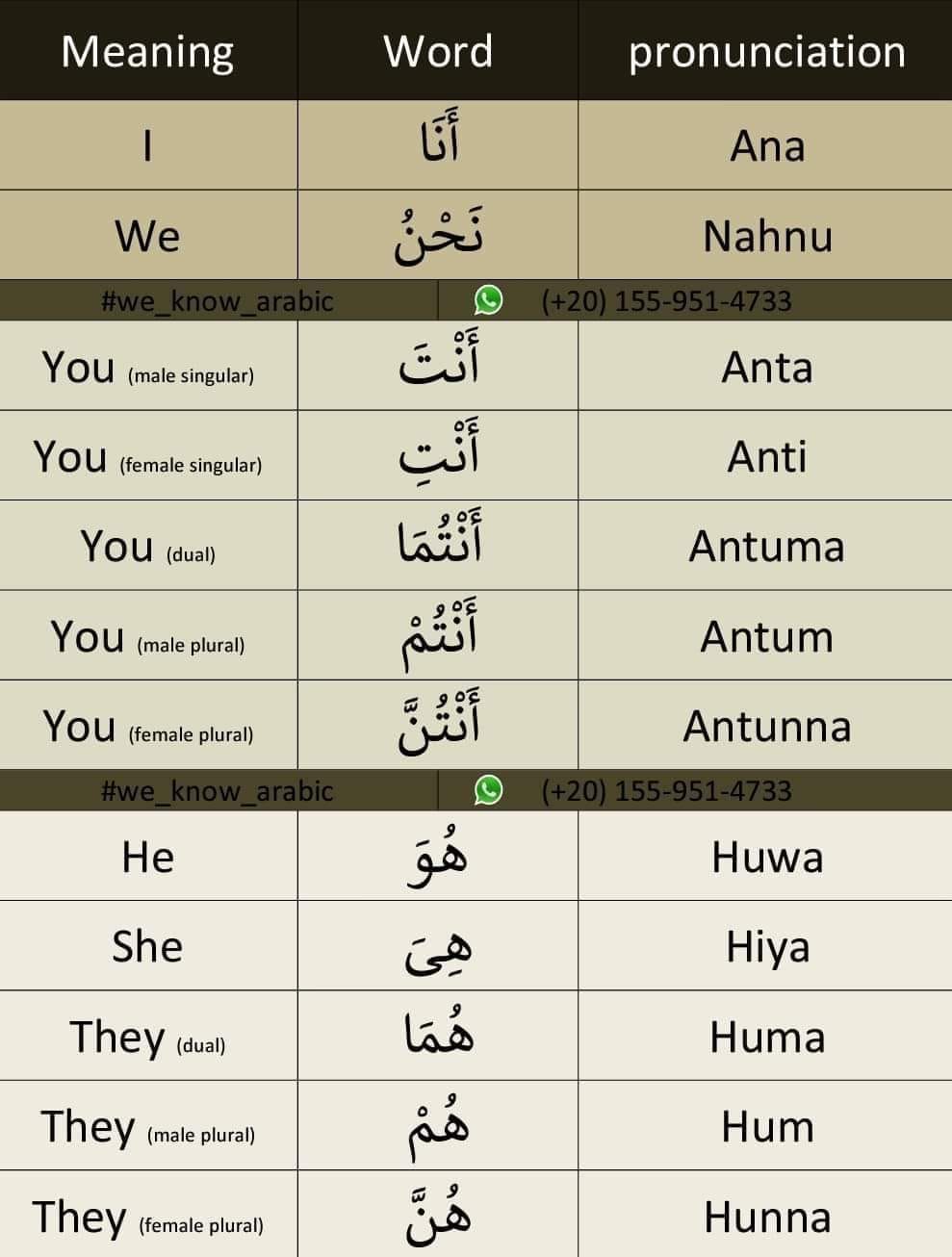 We - 👨‍🏫 Join our Live Classes online, and learn Arabic at your level ...