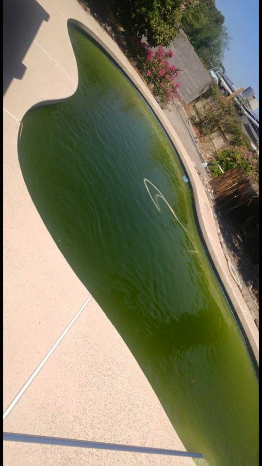 Priority 1 Pool service.