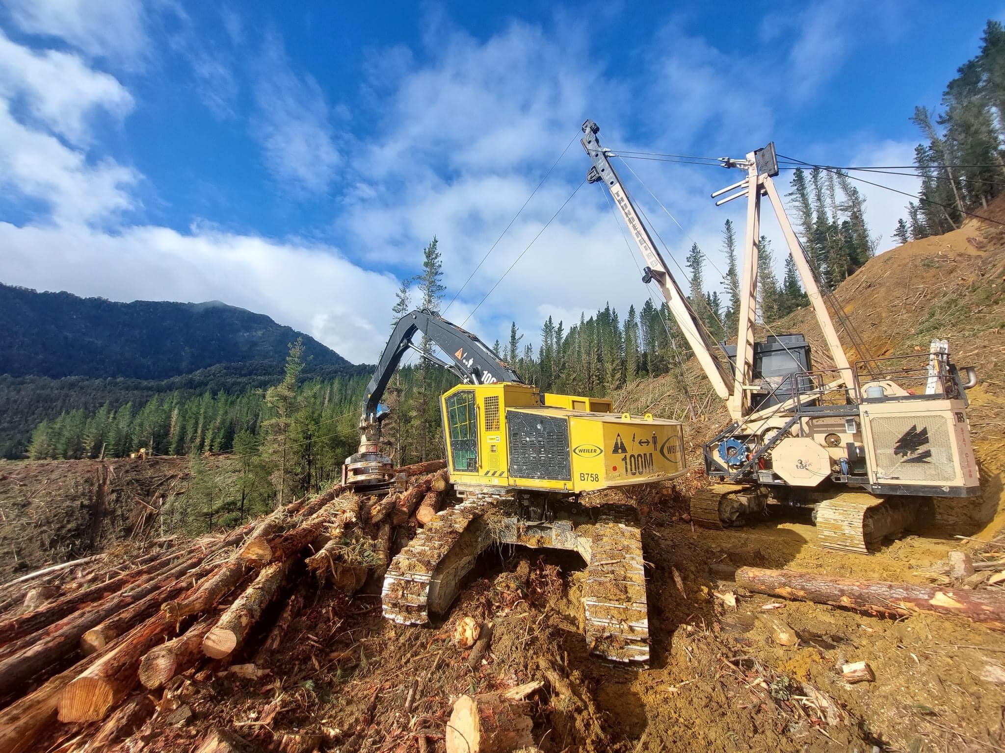 Moir Logging | Nelson