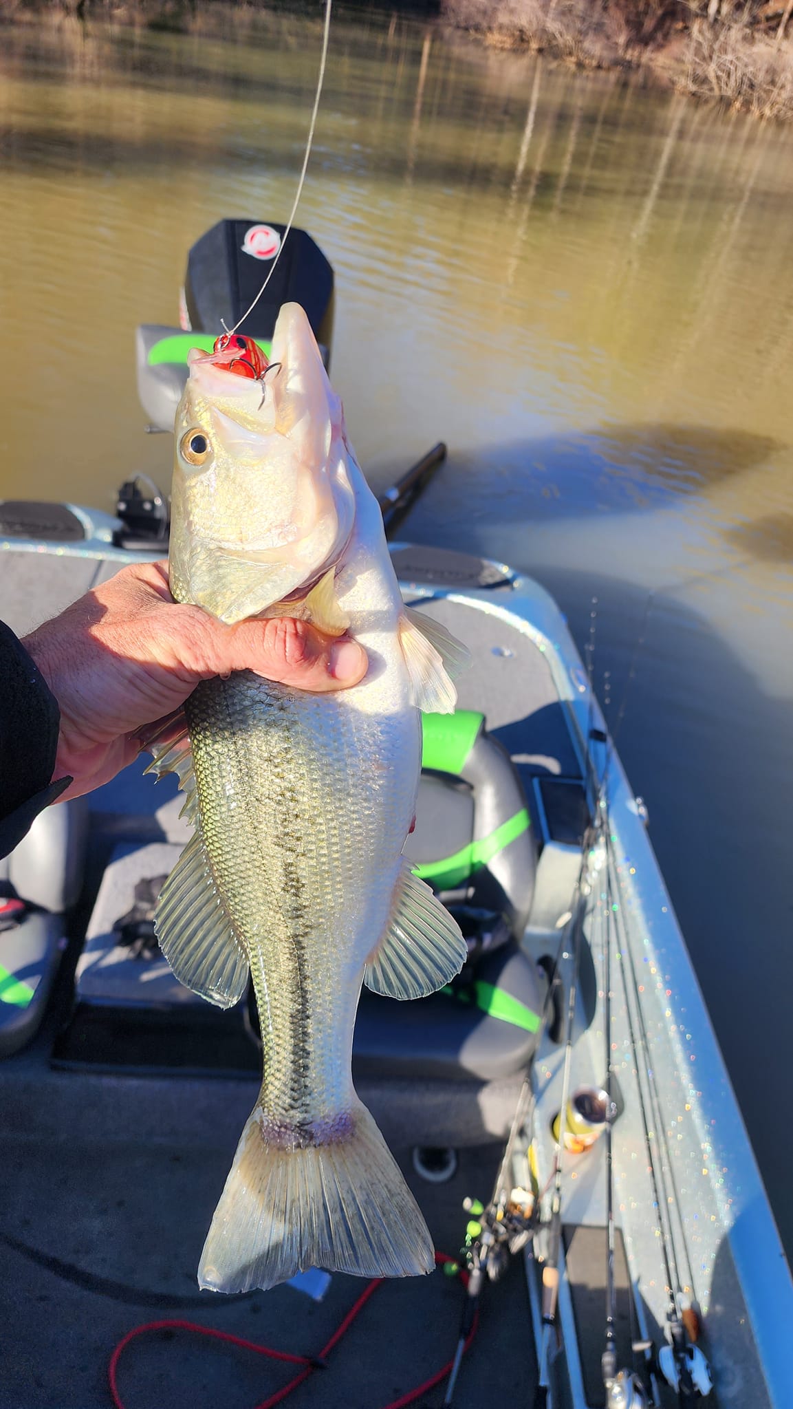Mongo_Fishing