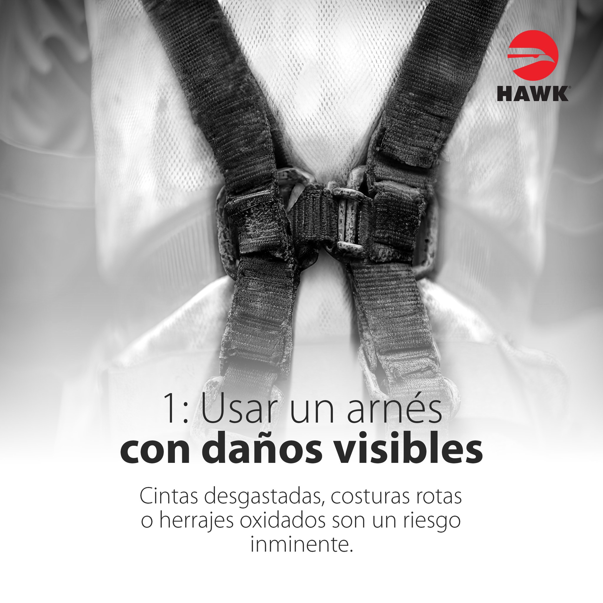 HAWK Fall Protection | Zapopan