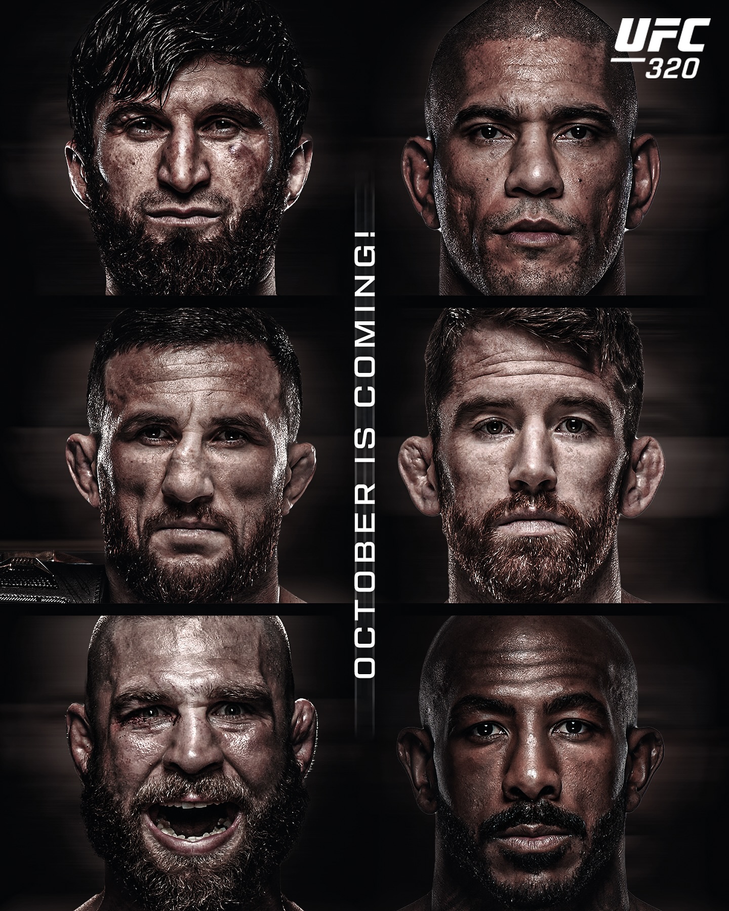 UFC - What a time to be a UFC fan! 🥵 #UFC #UFCIndia #UFC320 | Facebook