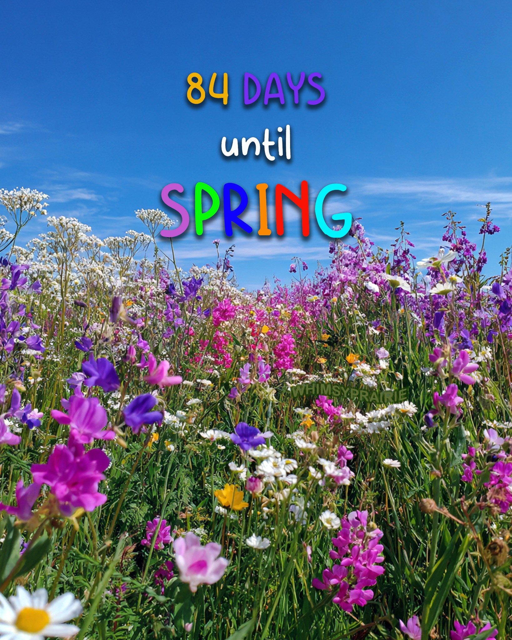Whimsy - 84 Days! 🌷👒🐦🐝 #SpringCountdown | Facebook
