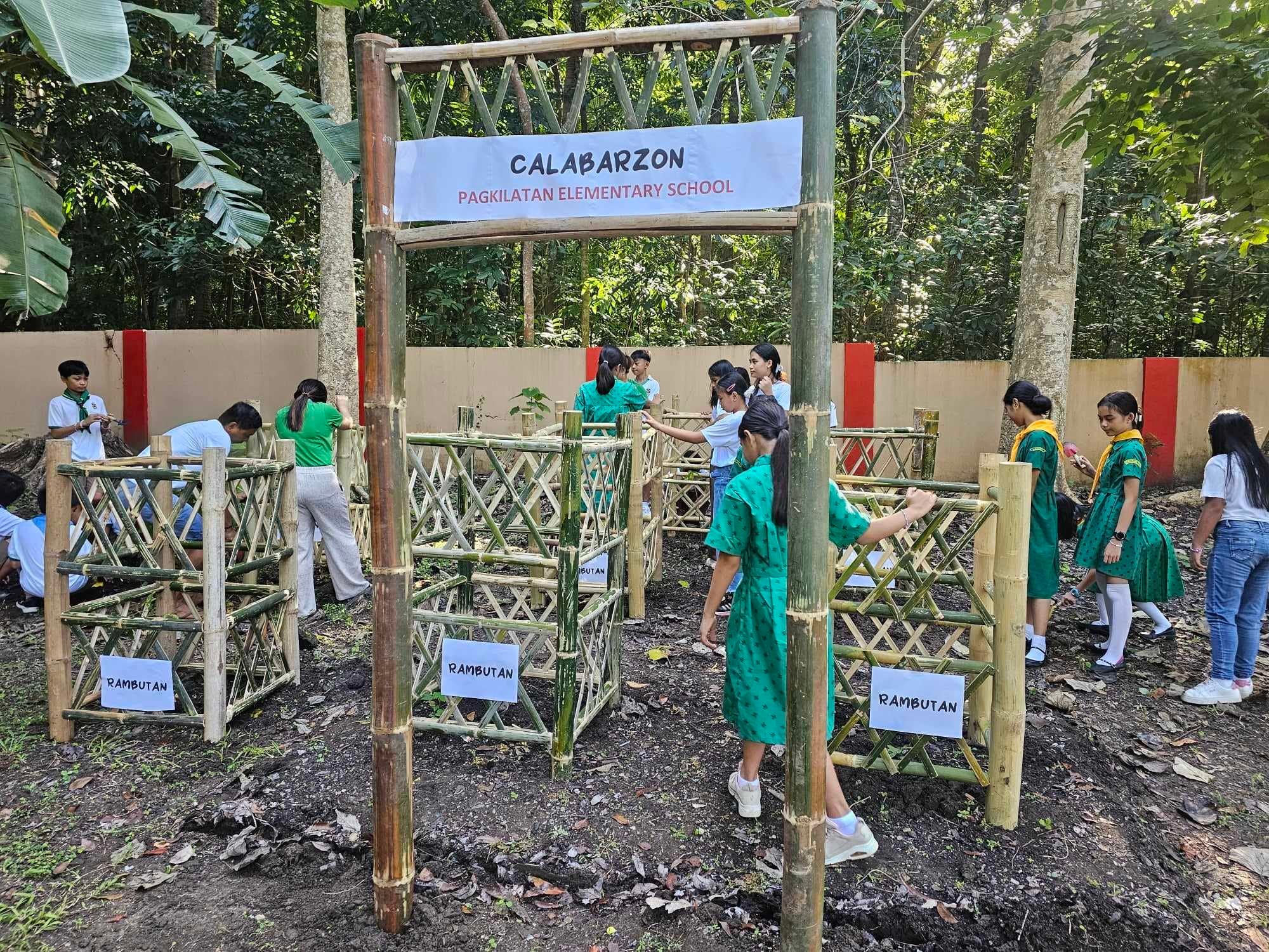 Trees Planting... - DepEd Tayo Pagkilatan ES - Batangas City | Facebook