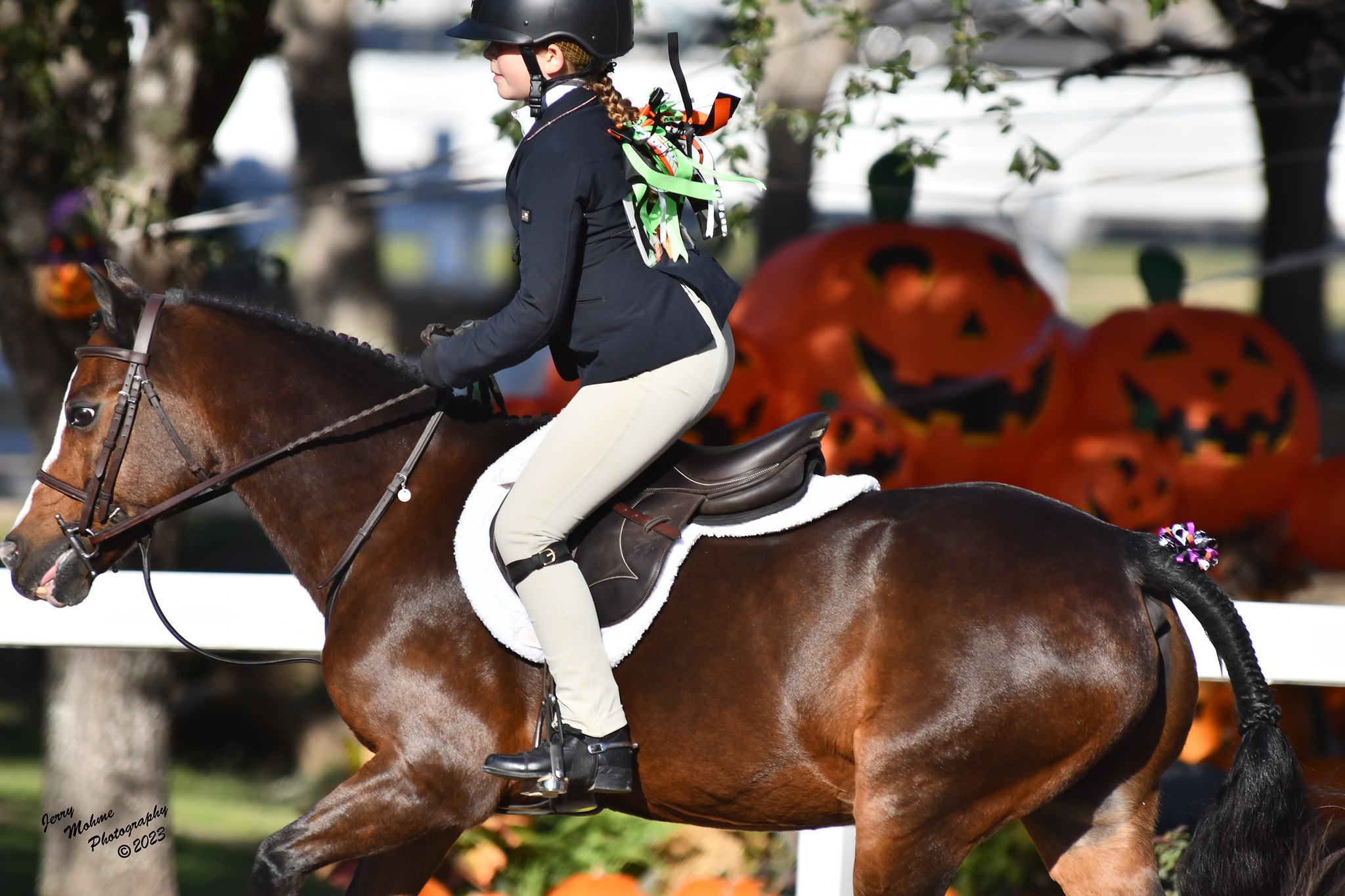 October Hill Farm Riding School | Hudson Oaks TX