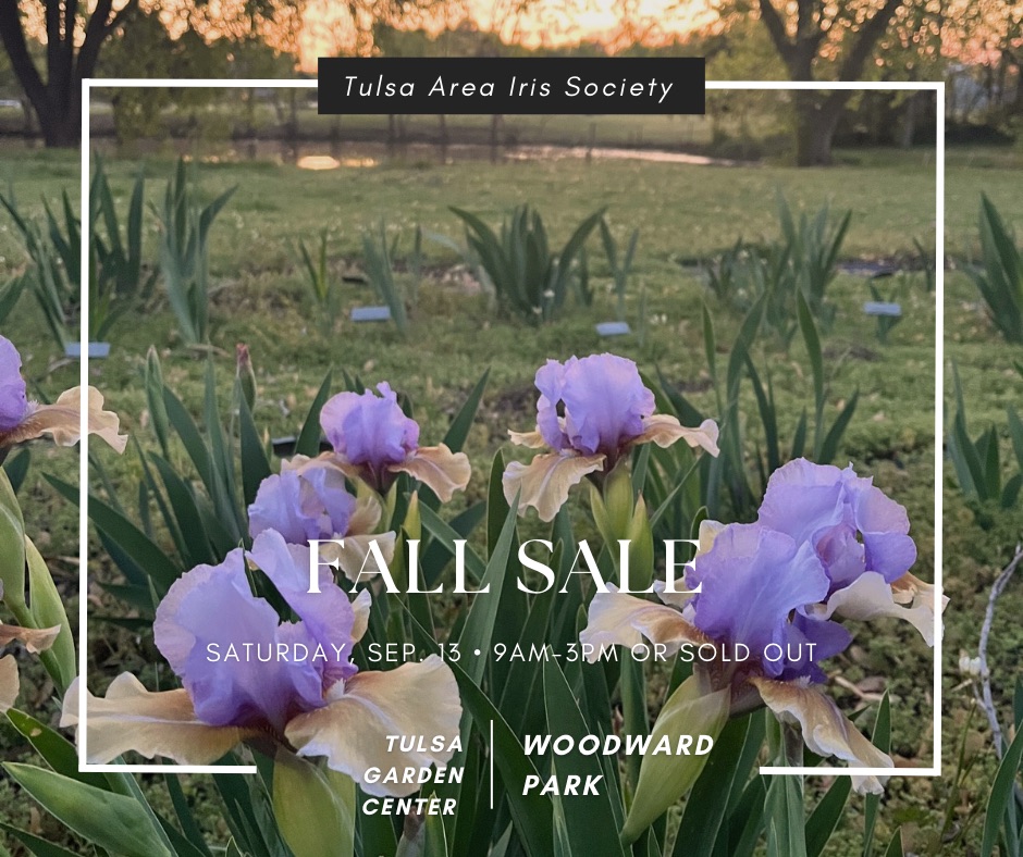 2025 Fall Sale
