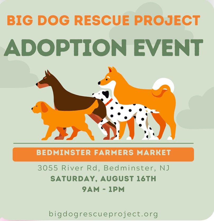 Big Dog Rescue Project added a... - Big Dog Rescue Project