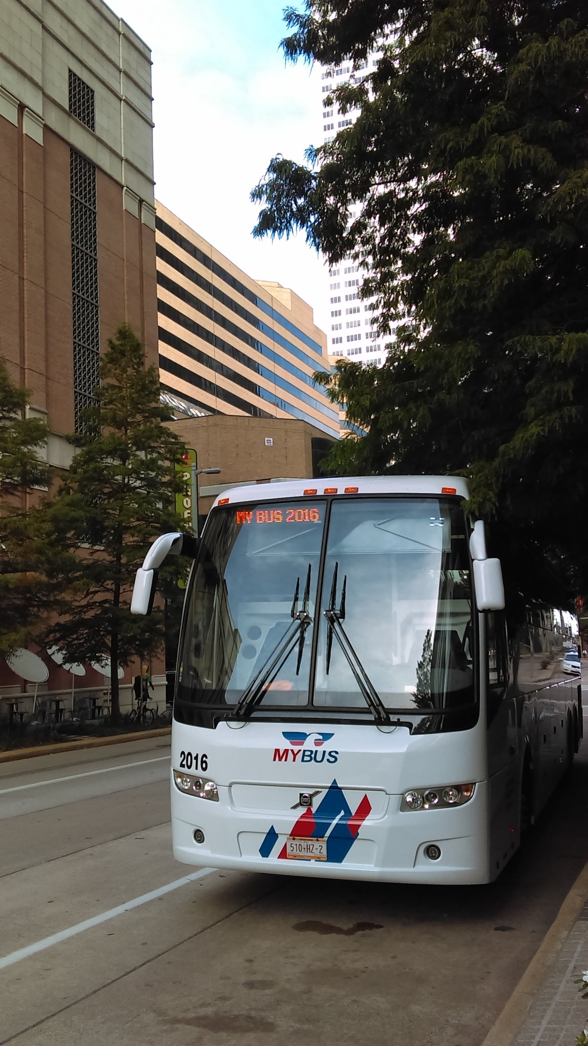 My Bus - Llega a tu destino descansado con nuestras nuevas... | Facebook
