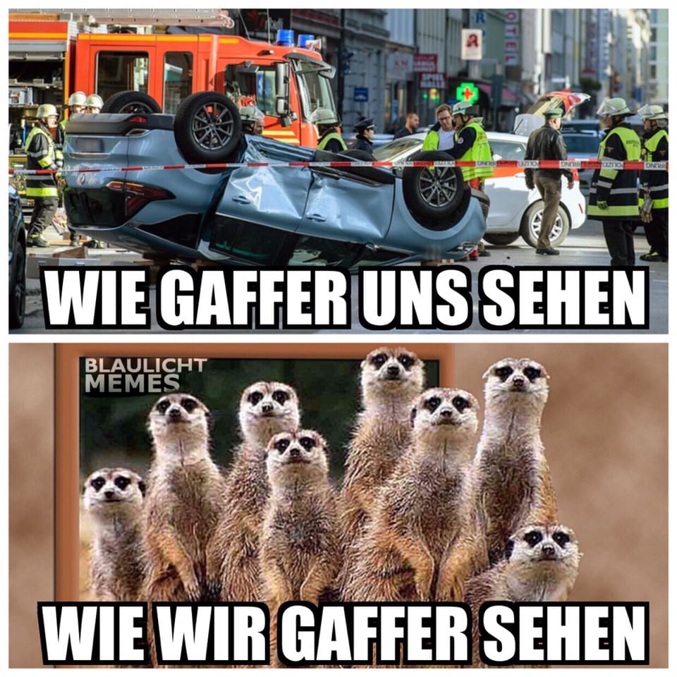 Warum filmt eigentlich mal keiner diese Glotzkorken? 🤔😅 #gaffer # glotzkorken #spanner #voyeur #kuckmaldoof #dankereicht #wieimzoo #sensationsgeil #polizei #rettungsdienst #feuerwehr #blaulichtmemes