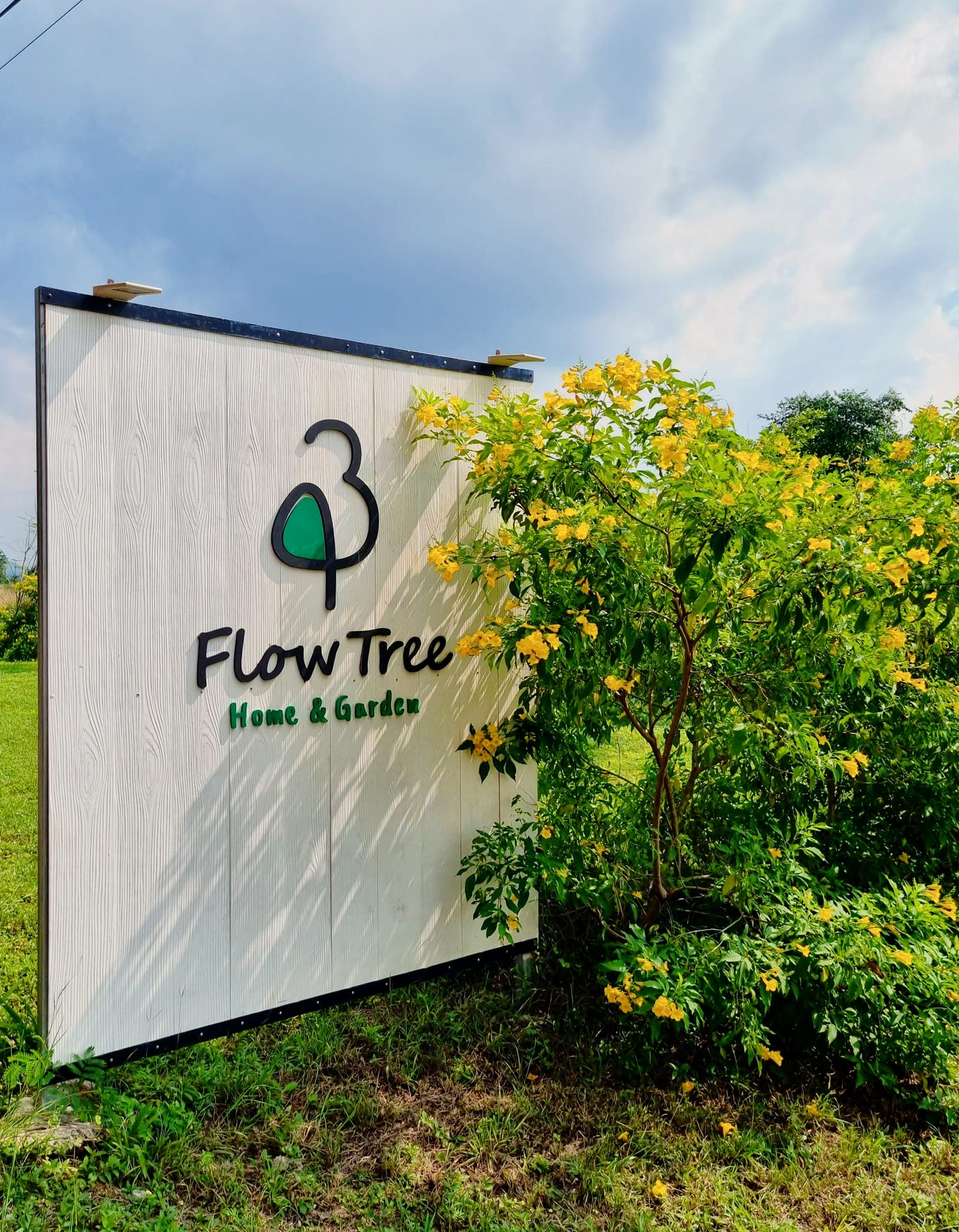 🩷หน้าร้อน... - 43 Flow tree home&garden โฟล์ทรีรีสอร์ท สวนผึ้ง | Facebook