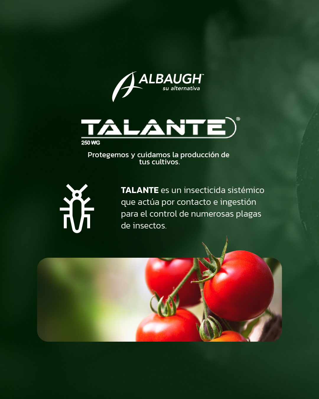 Albaugh Ecuador - TALANTE®... | Facebook