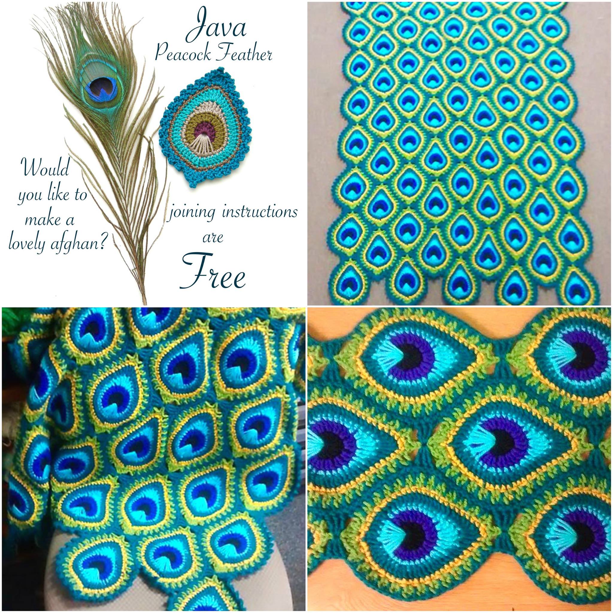 The Curio - FREE Join-As-You-Go Afghan Instructions for my Java Peacock ...