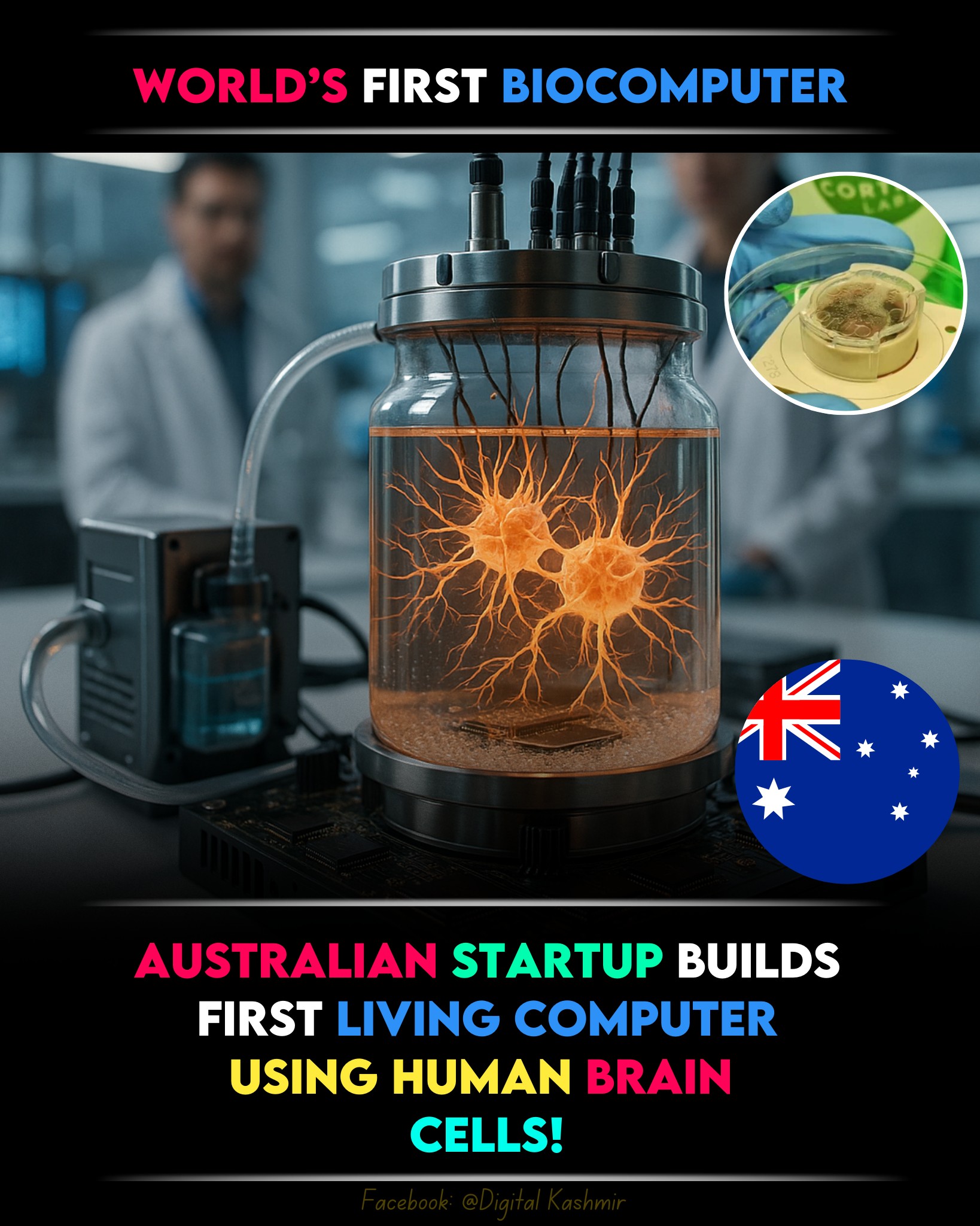 Digital Kashmir - An Australian startup has unveiled the... | Facebook