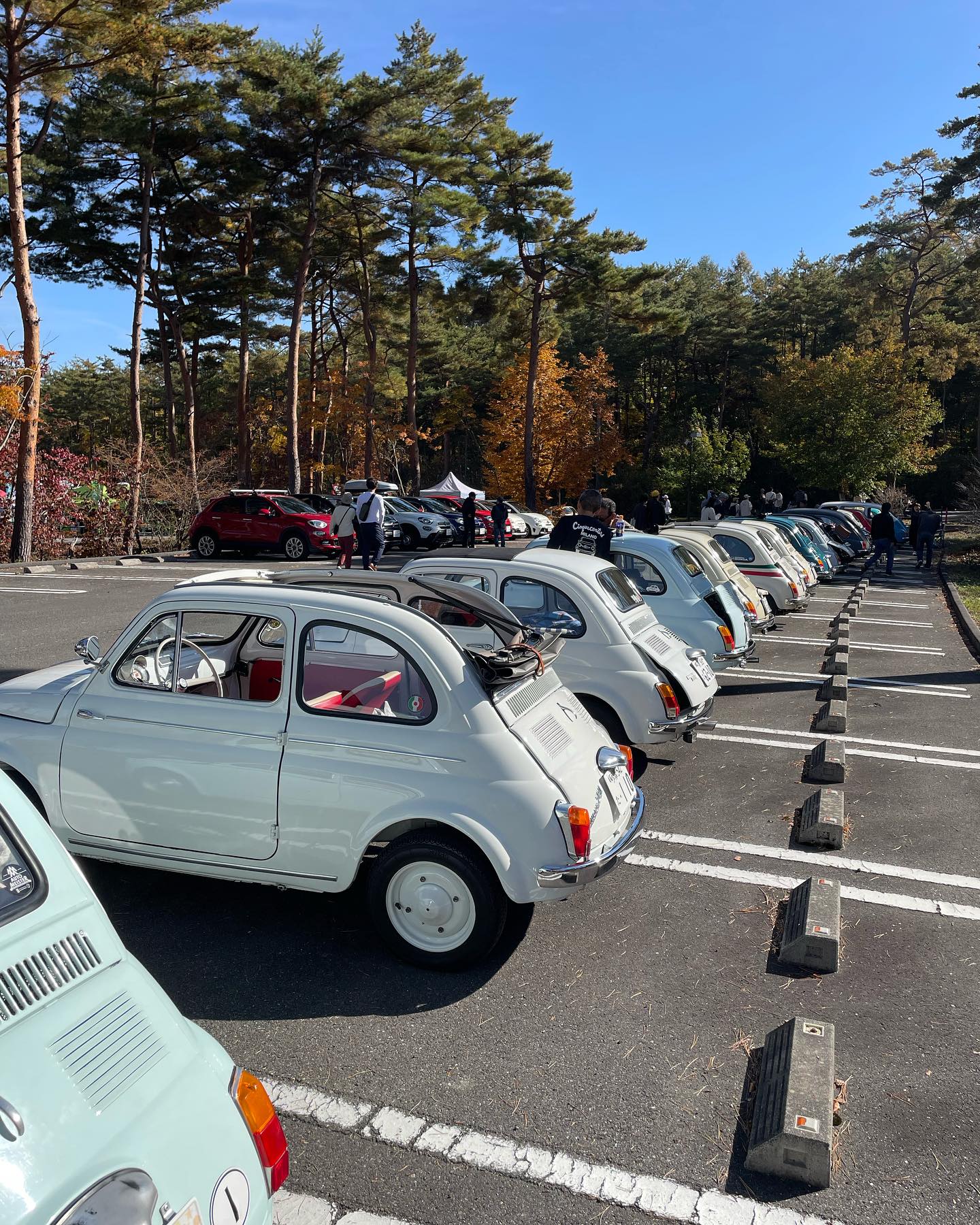 こんな部品あったよね〜編（小ネタシリーズ） ABARTH STEERING 