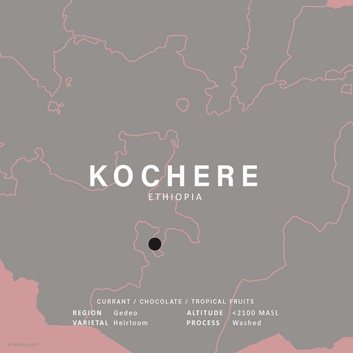 “Kochere” Our favorite black... - Singular Coffee Northbridge | Facebook