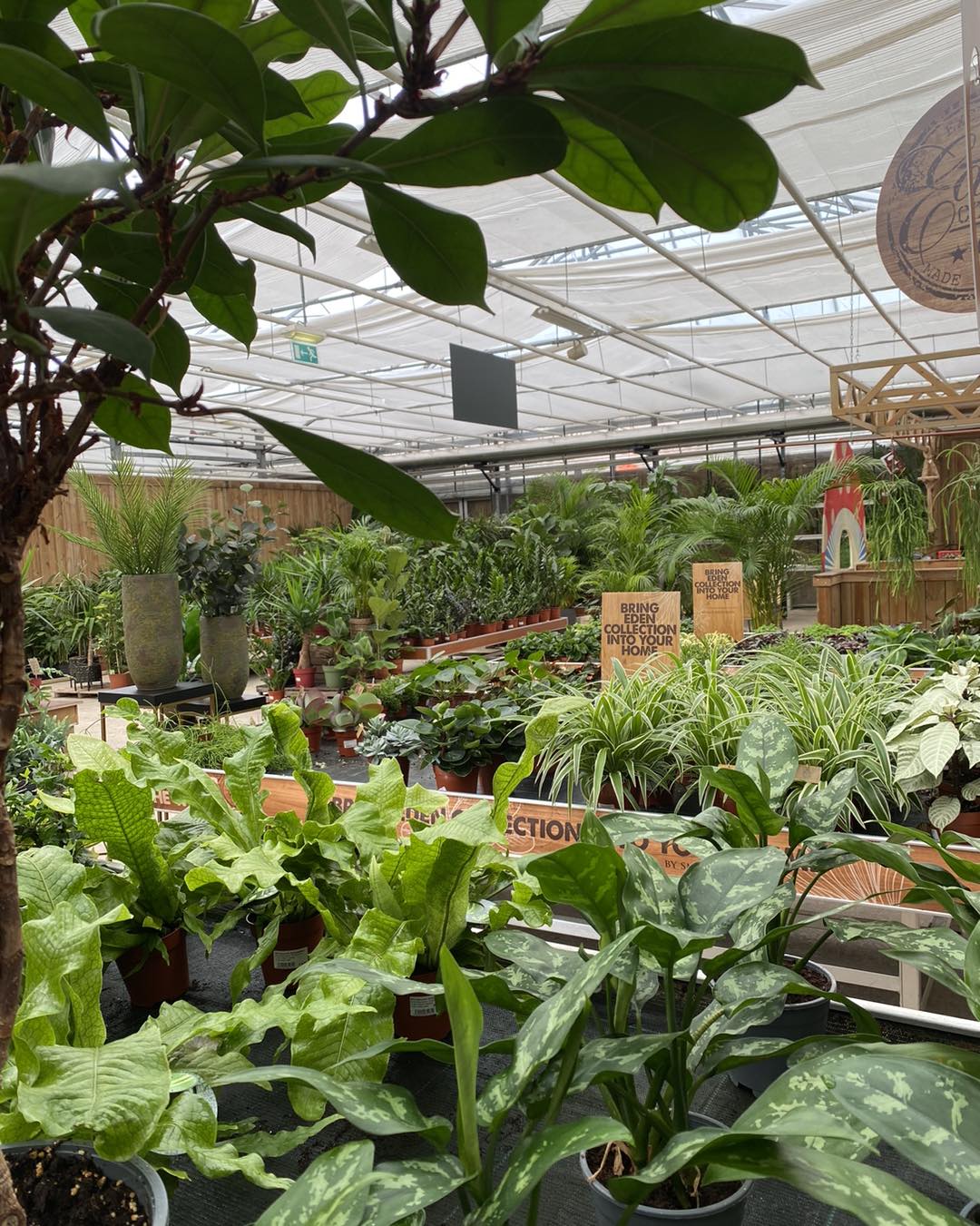 🌿 ACTIE ️ Verrassingspakketten bij... - Tuincentrum Drint