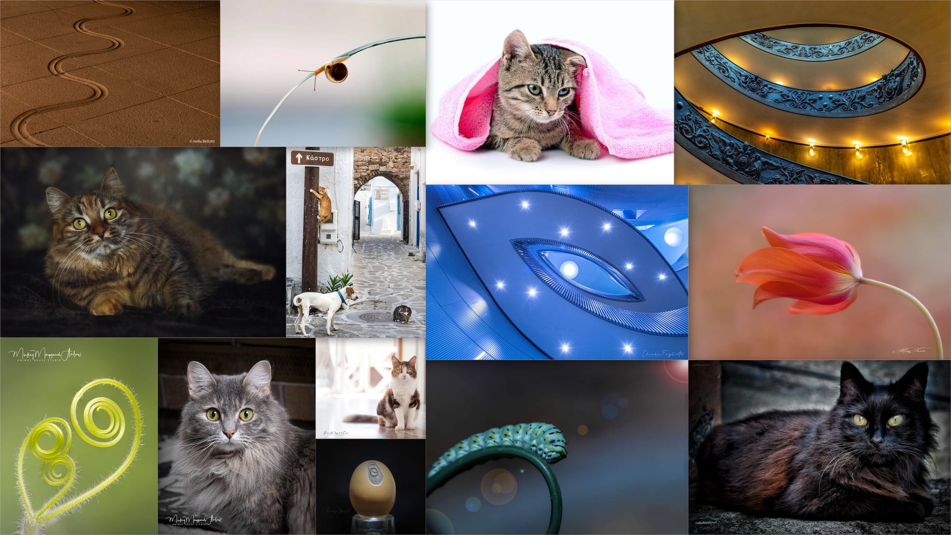 Annual Photography Awards (@annualphotographyawards) • Facebook