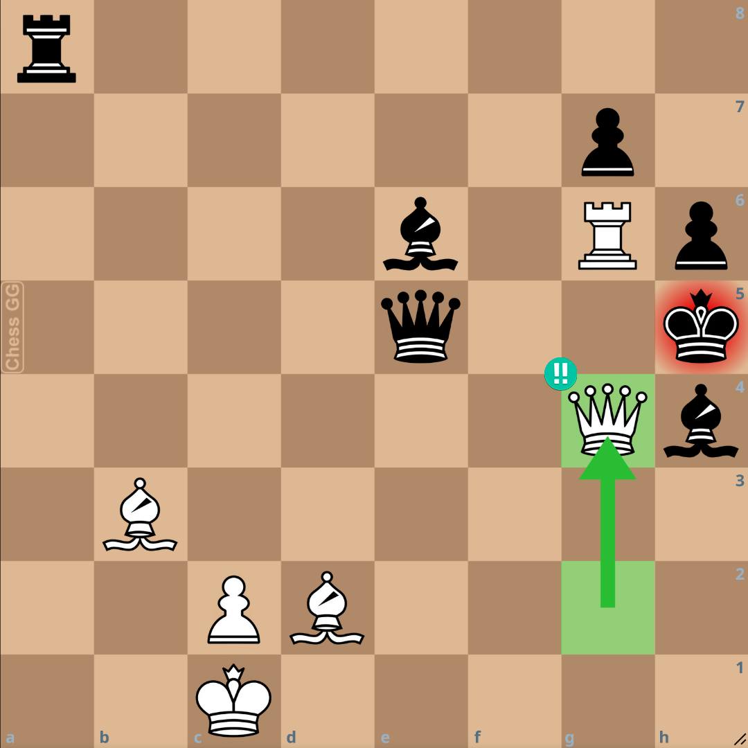 Insane Sacrifice! #chess #checkmate S ON CEDES عي 宣 三 5 ፉ vi