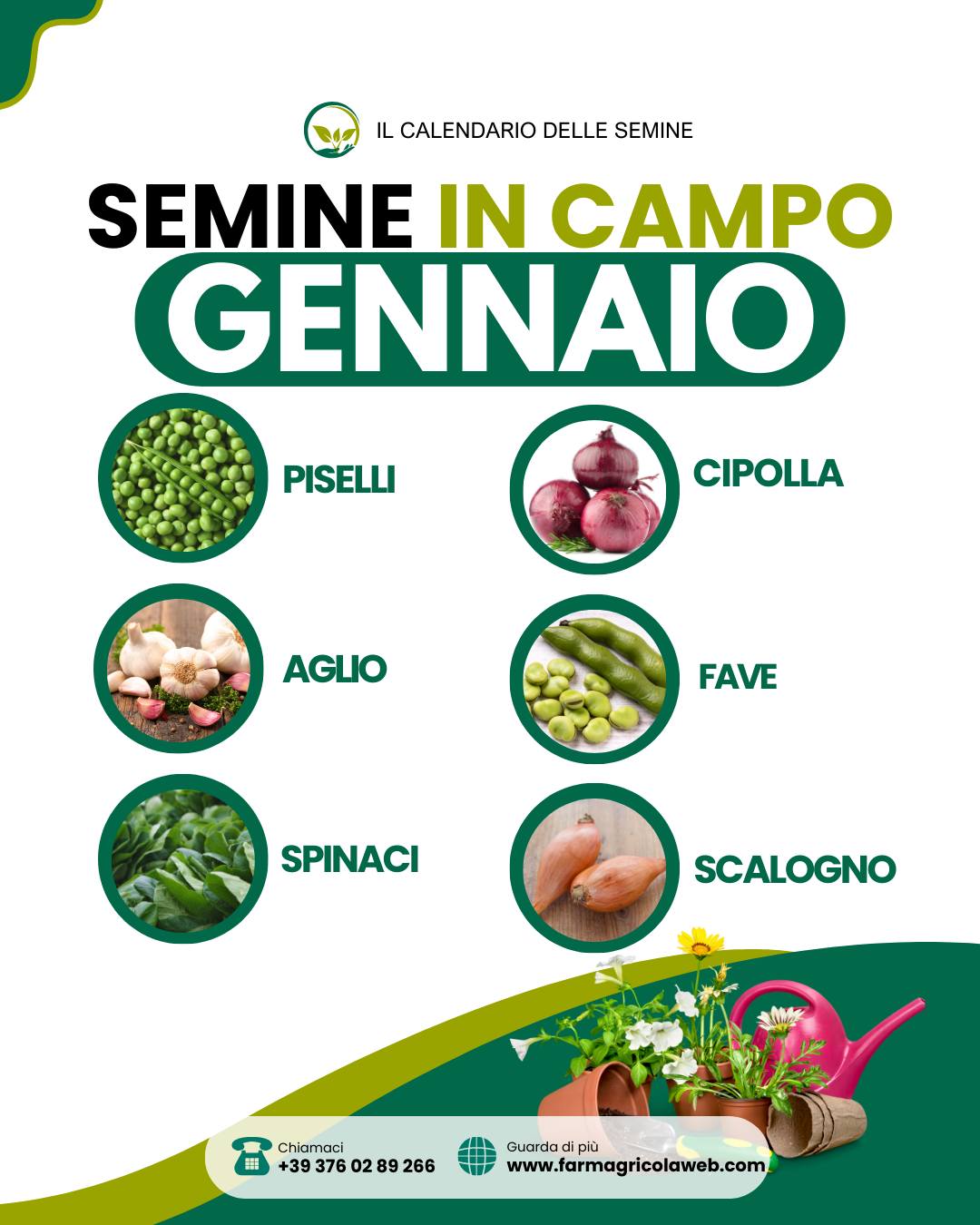 farmagricolaweb