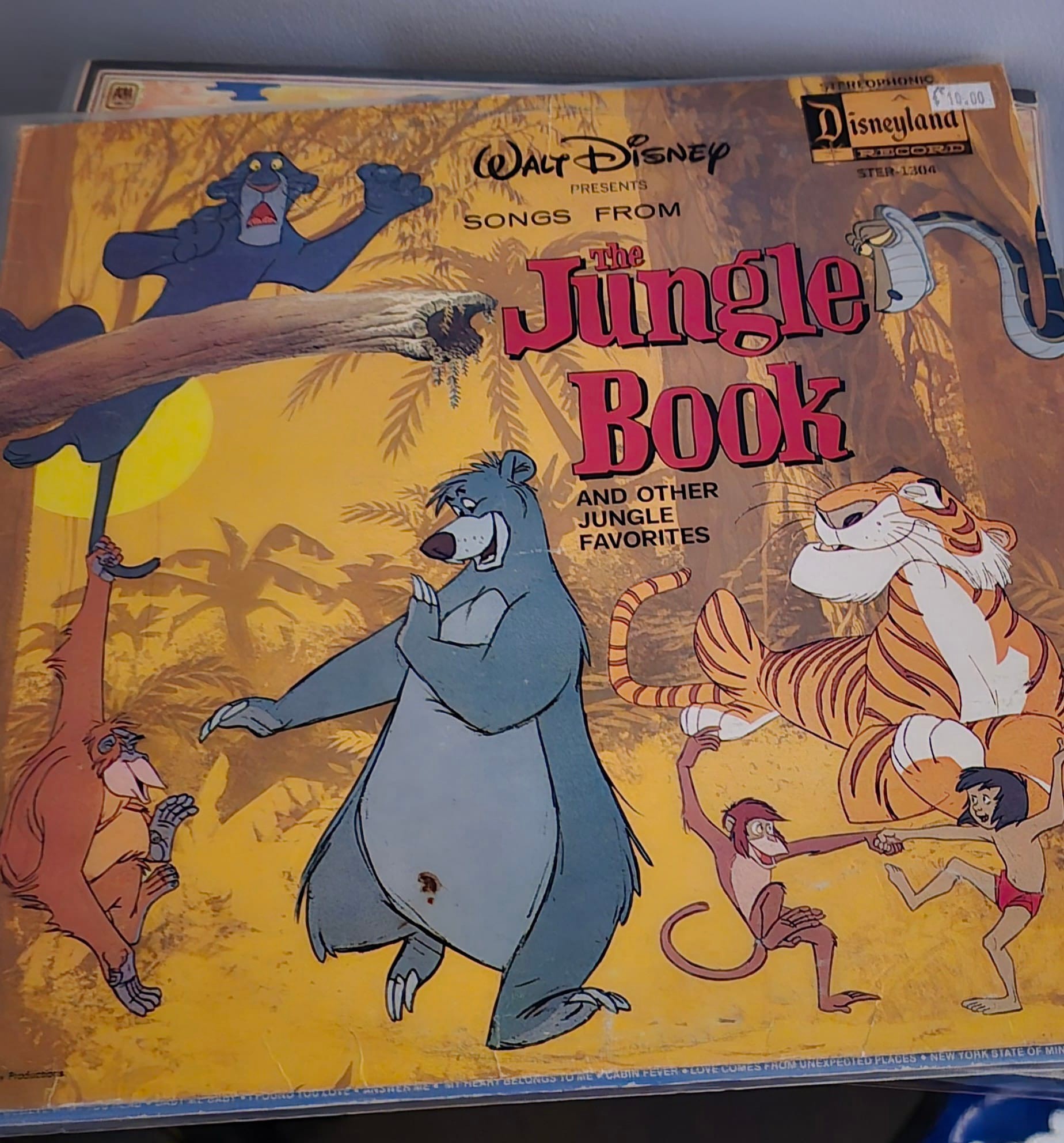 Normally I share my Disney theme park CD collection in disney