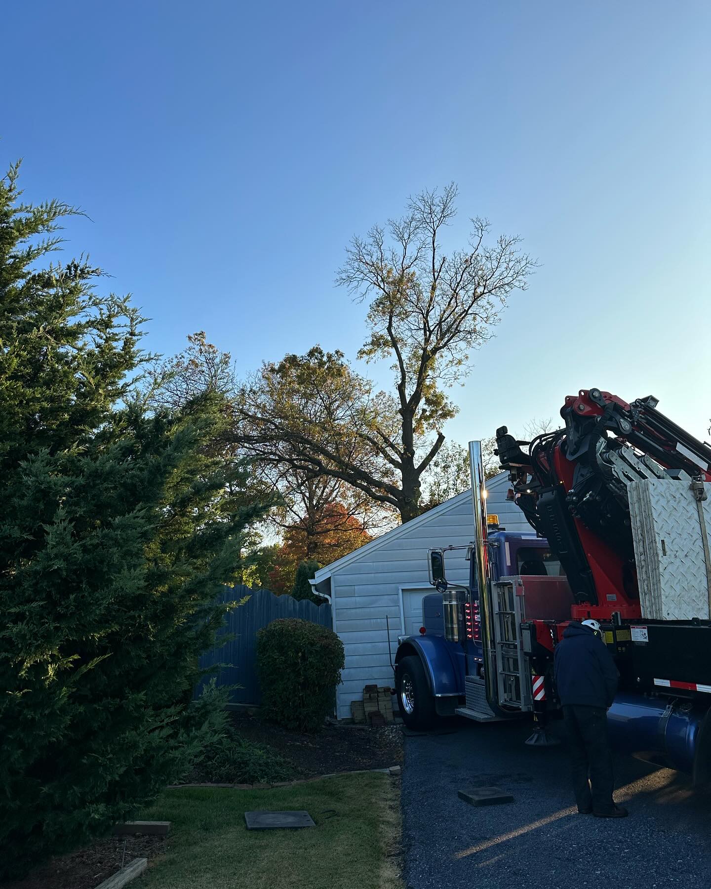 Stoner's Tree Service | Elizabethtown PA