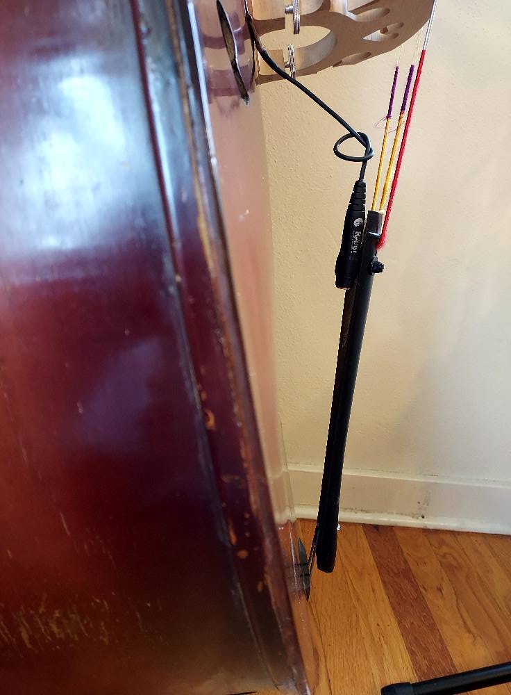 Red Diamond Wrapped Guts for Upright Bass Review and Discussion
