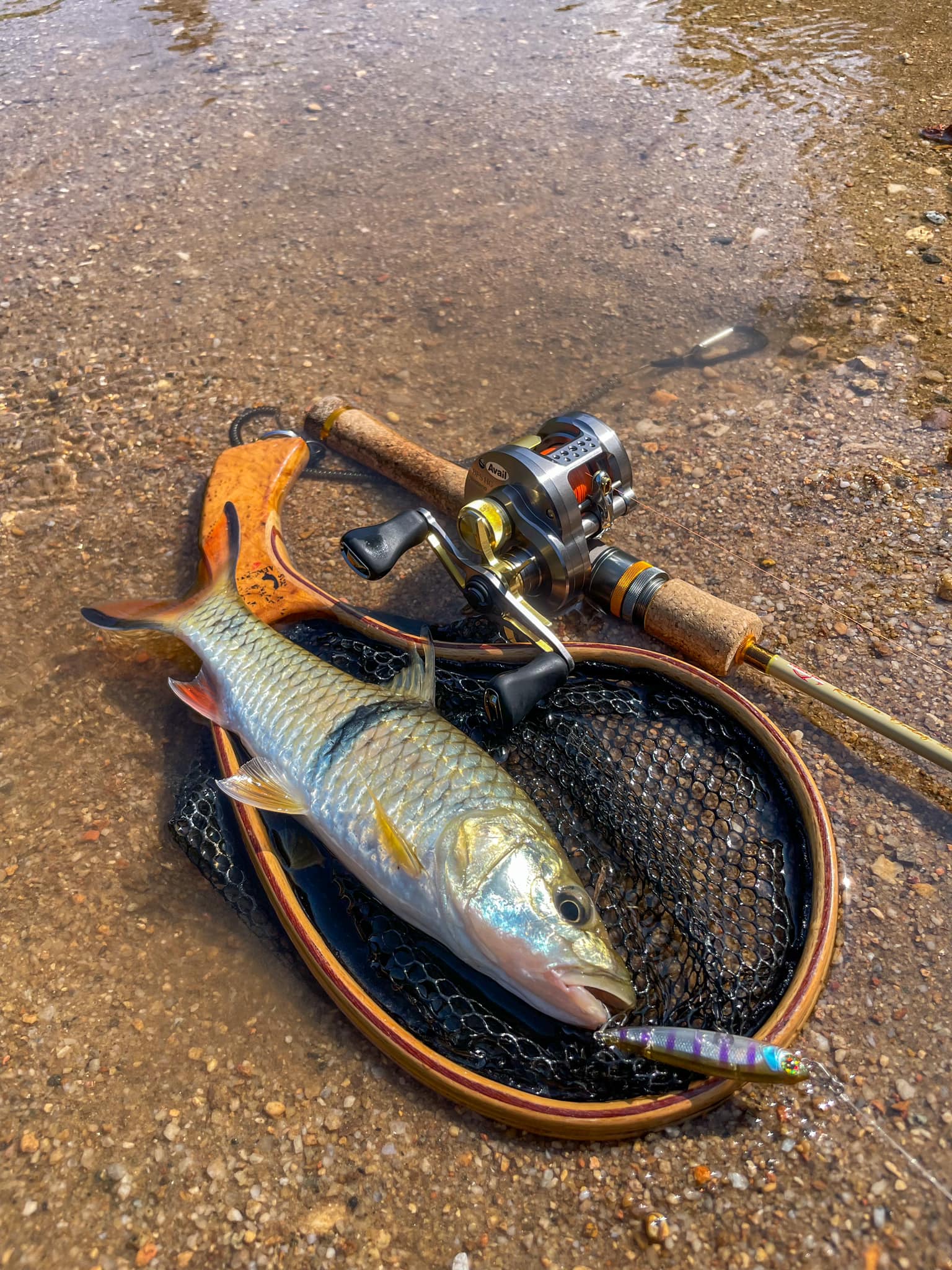 okuma azores rod Blue Popping | 7.9 Ft Rod Length:10'6
