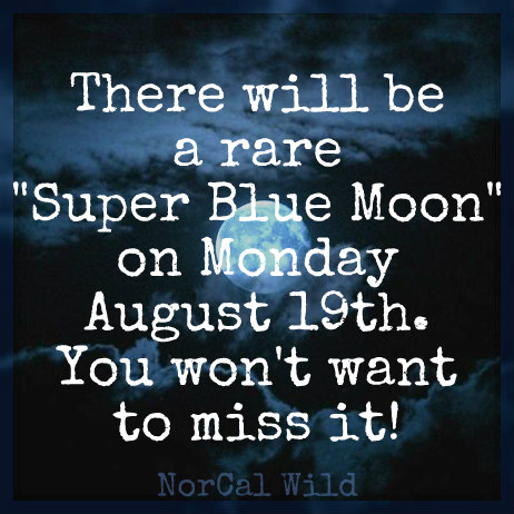 NorCal - Monday's Super Blue Moon is a rare event!! The "super" part of ...