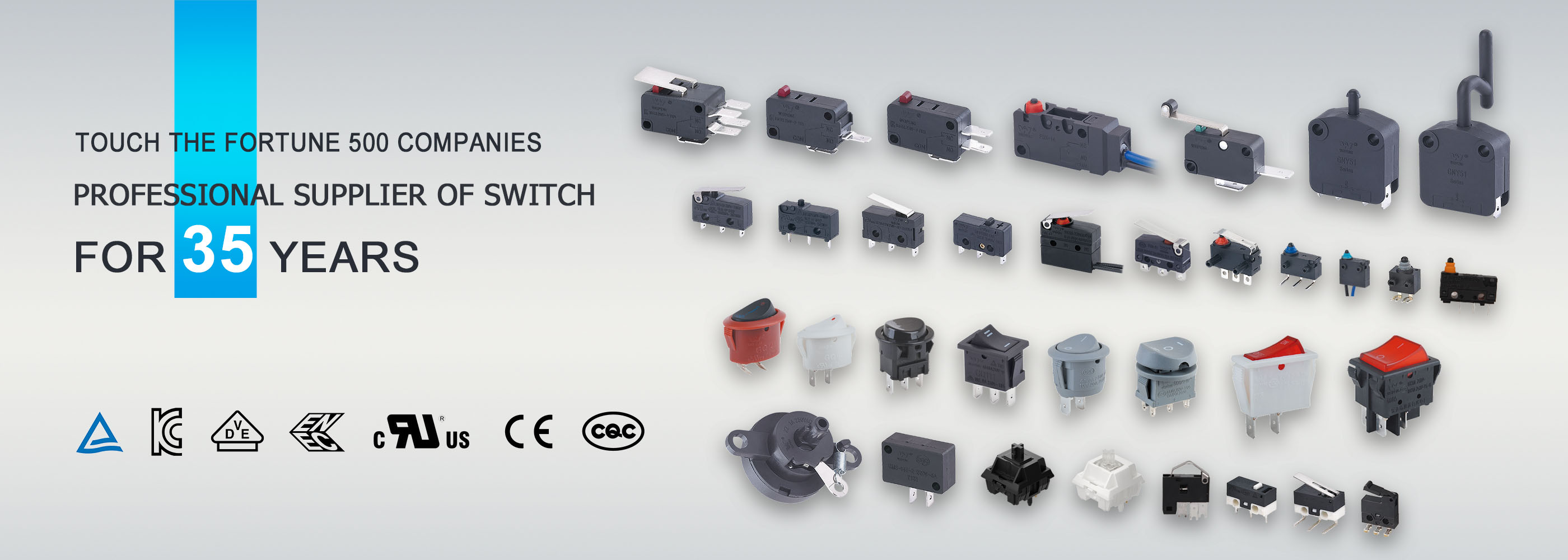 Tongda Weipeng Micro Switch Manufacturer | Wenzhou