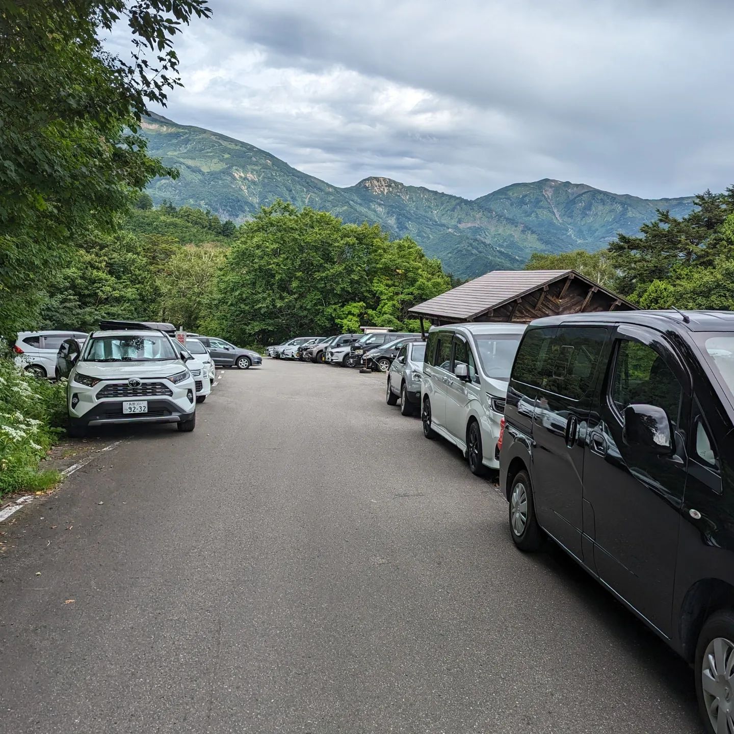 当時のメディア報道・掲載写真