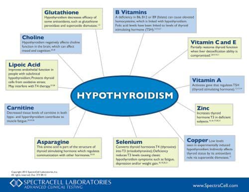 glutathione and hypothyroidism 5 Vitamins for Hashimoto's Disease (Hypothyroidism) shower products Specification:50mg Role of Glutathione in