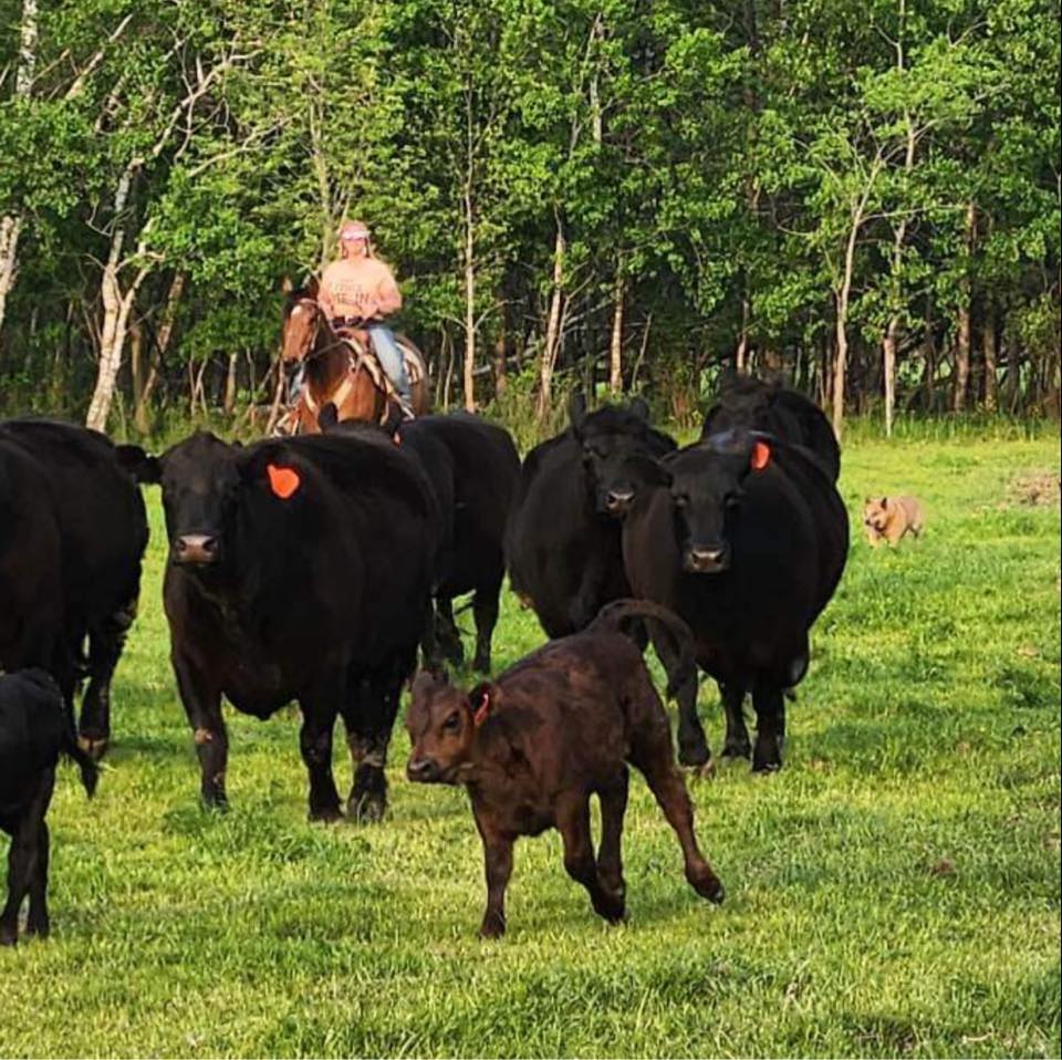 K2 Ranch | Clayton WI