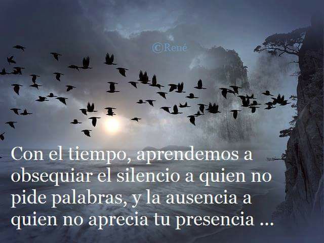 Sarcasmo Amor Y Desamor Startseite Facebook