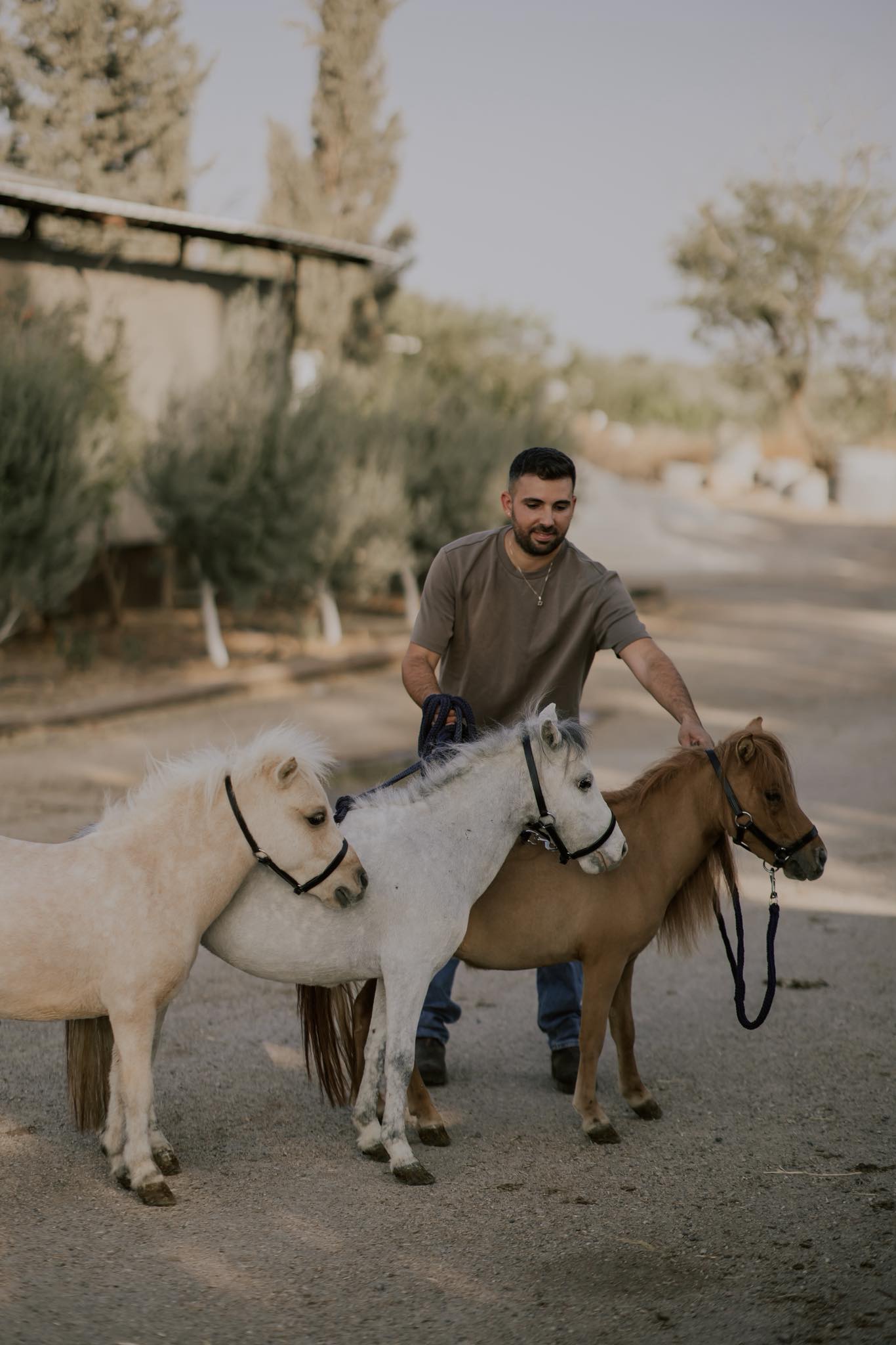 חוות ארבל - arbel farm | Arbel