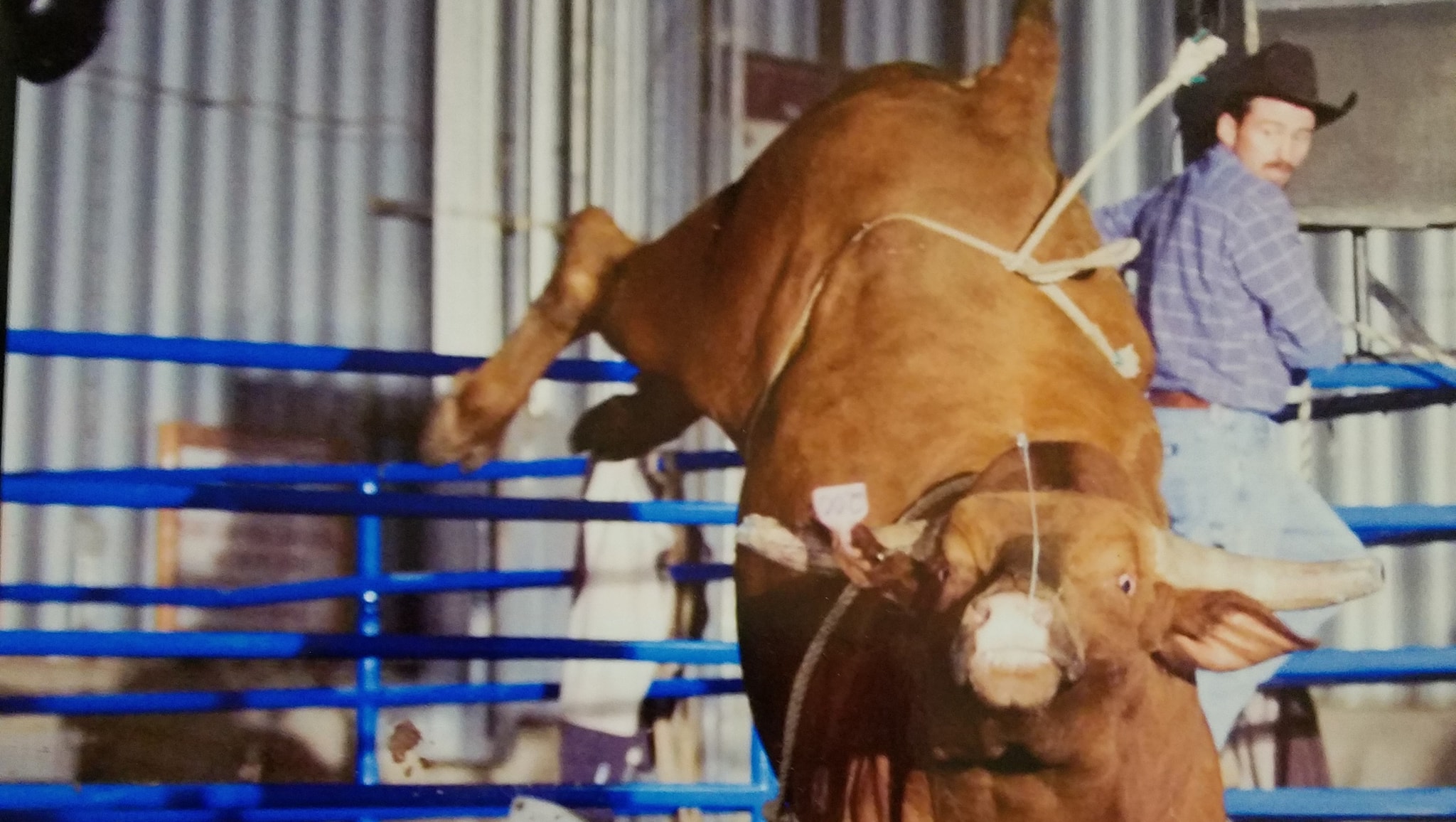 Rocky Mountain Extreme Bull Riding | Kalispell MT