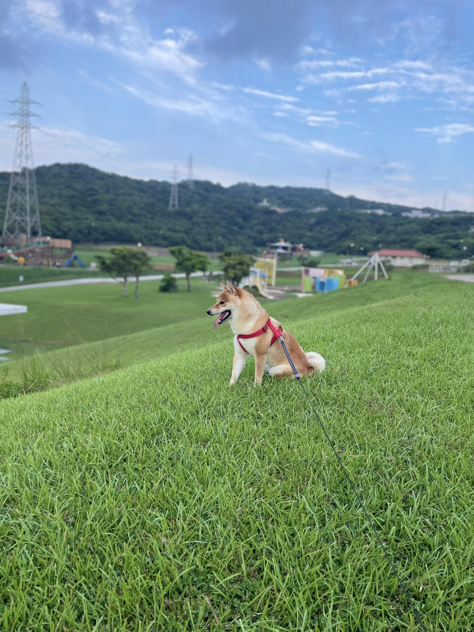 Utako Inoue