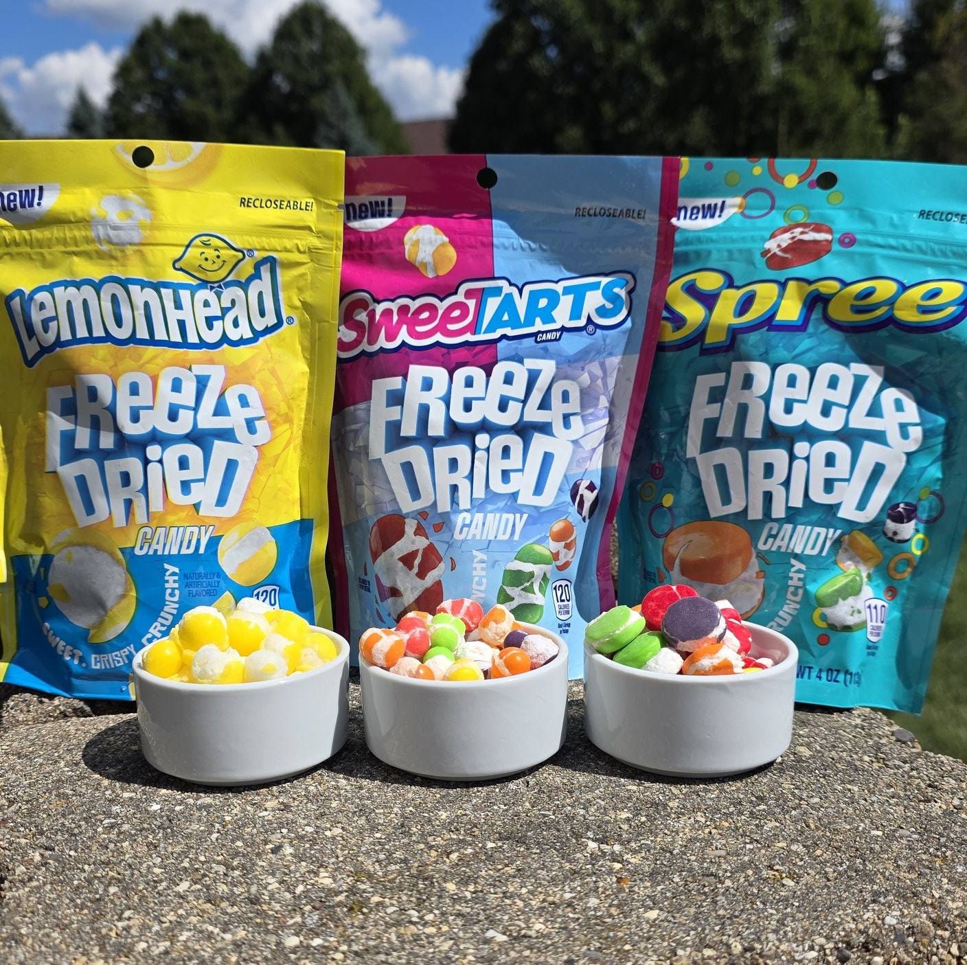Snackolator - The new *freeze dried* Lemonhead, Spree, and... | Facebook