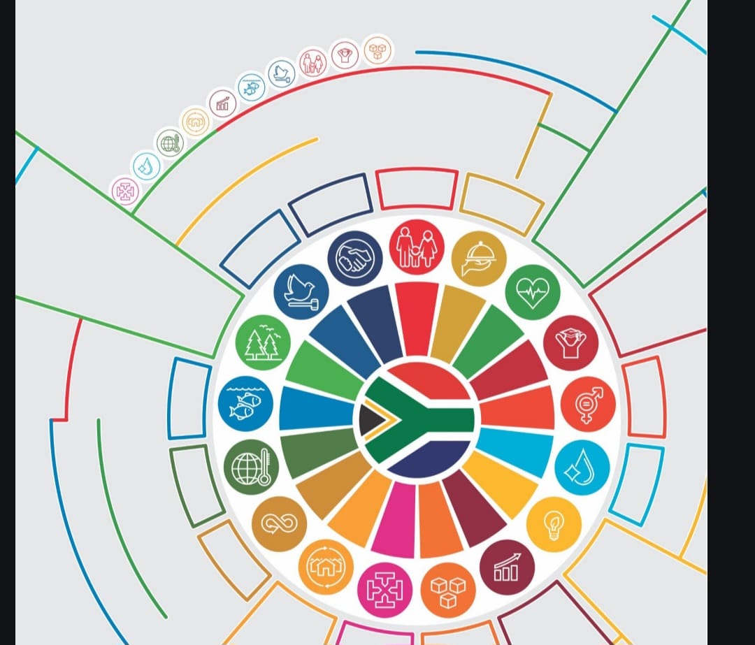African Monitor - The SDGs are not just a set of global...