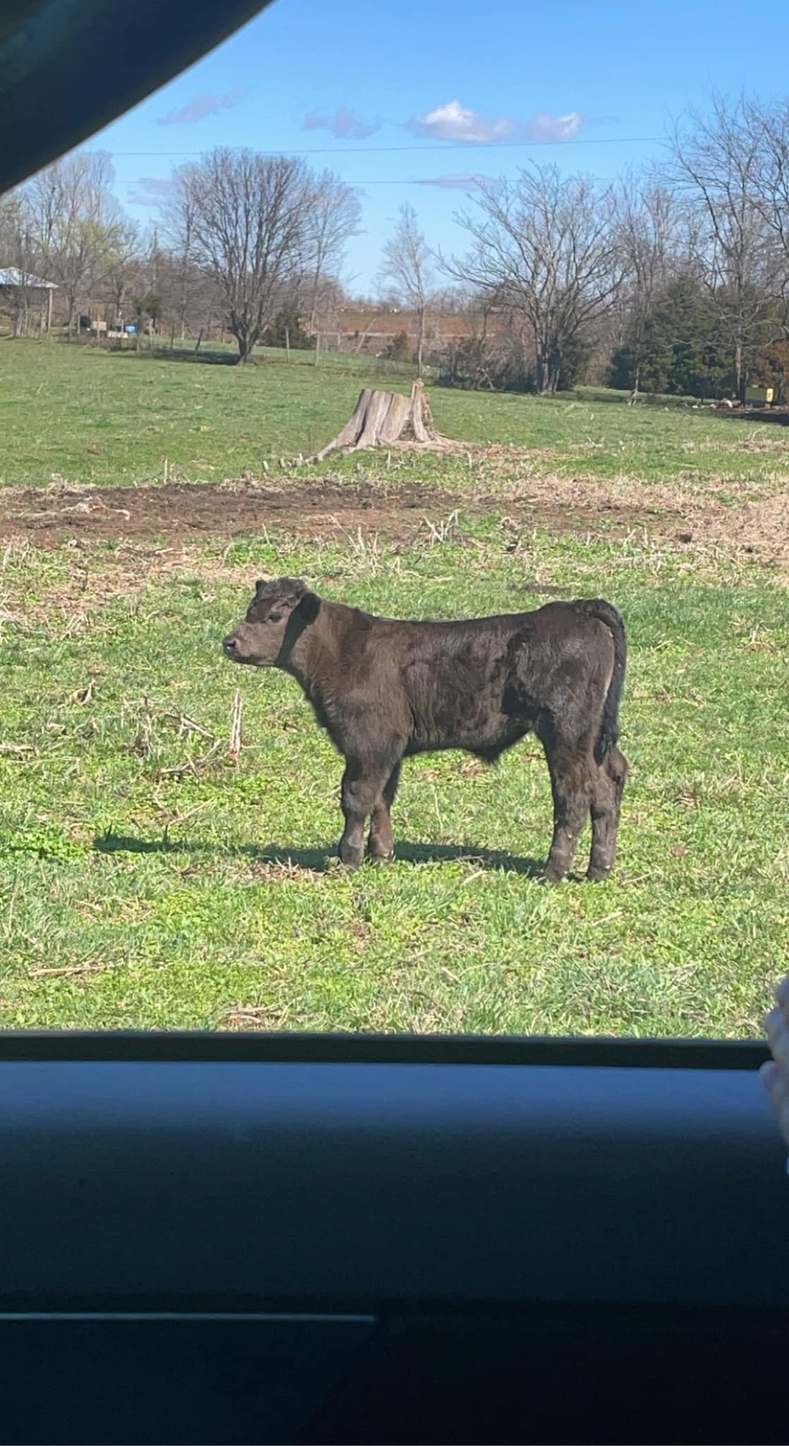 Red Ridge Farm