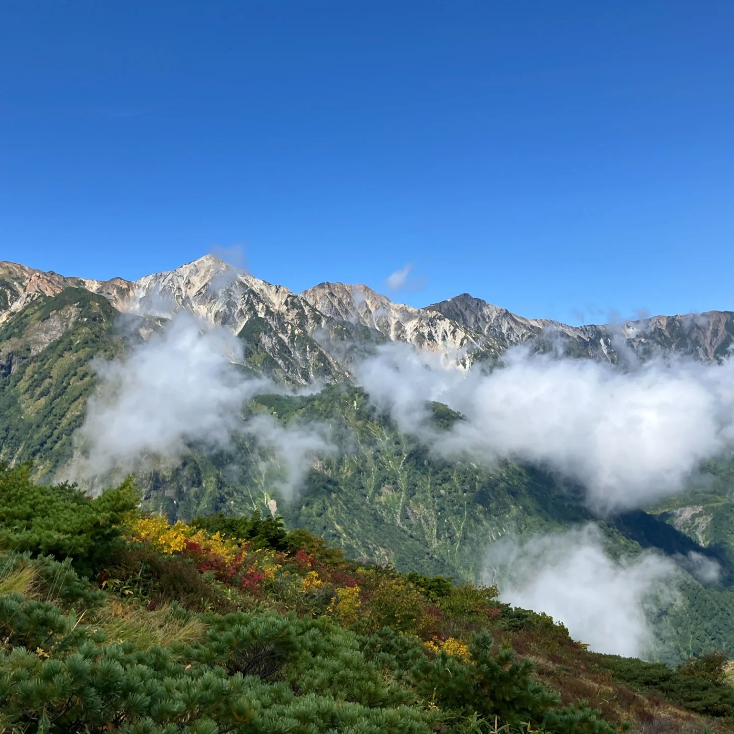 9月下旬になり、朝晩の冷え込みや草木の色づきに本格的な秋の訪れを 